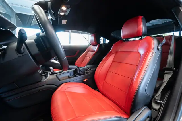 Ford Mustang view 14