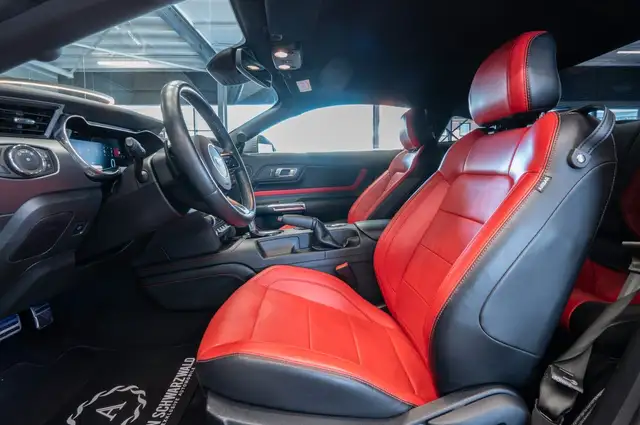 Ford Mustang view 13