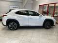 Lexus UX 250h UX 250h 2.0i FWD F Sport Line Blanc - thumbnail 1