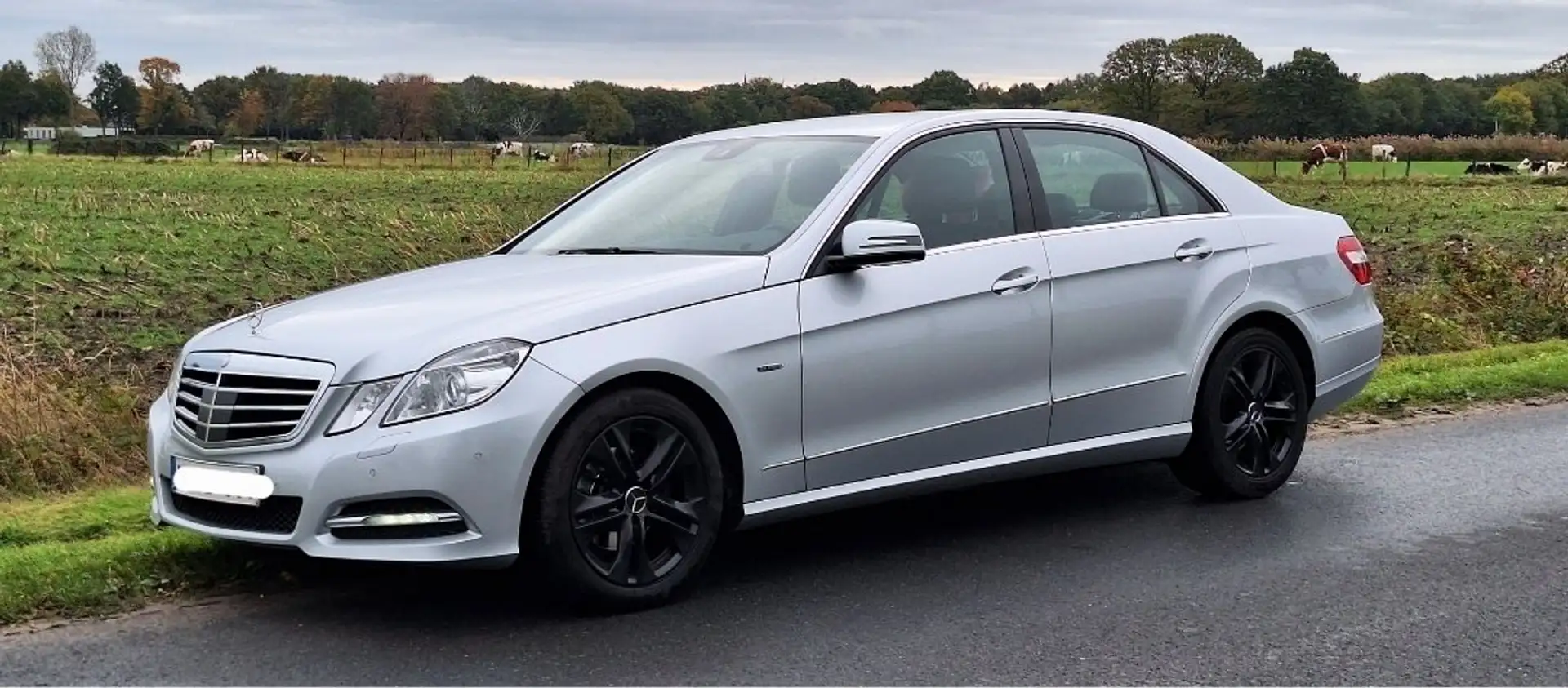 Mercedes-Benz E 220 E 220 CDI DPF BlueEFFICIENCY 7G-TRONIC Avantgarde Zilver - 2