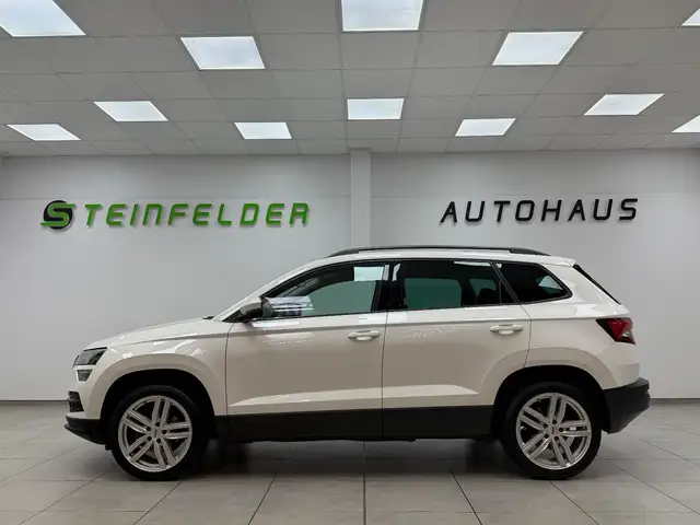Skoda Karoq view 4