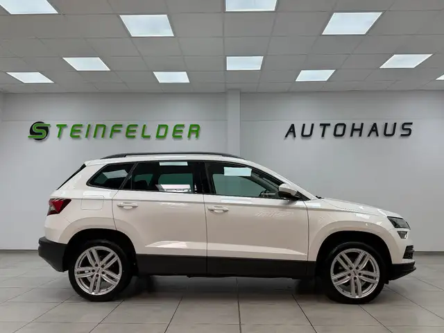 Skoda Karoq view 8