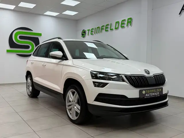 Skoda Karoq main image