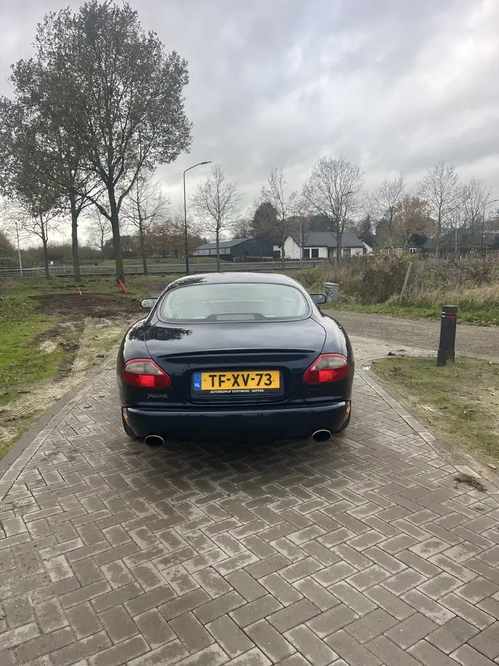Jaguar XK8 Coupe, foto 6