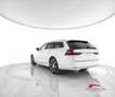 Volvo V90 Mild Hybrid B4 (d) Automatico Plus Bright Bianco - thumbnail 4