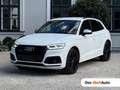 Audi SQ5 TDI quattro Weiß - thumbnail 1