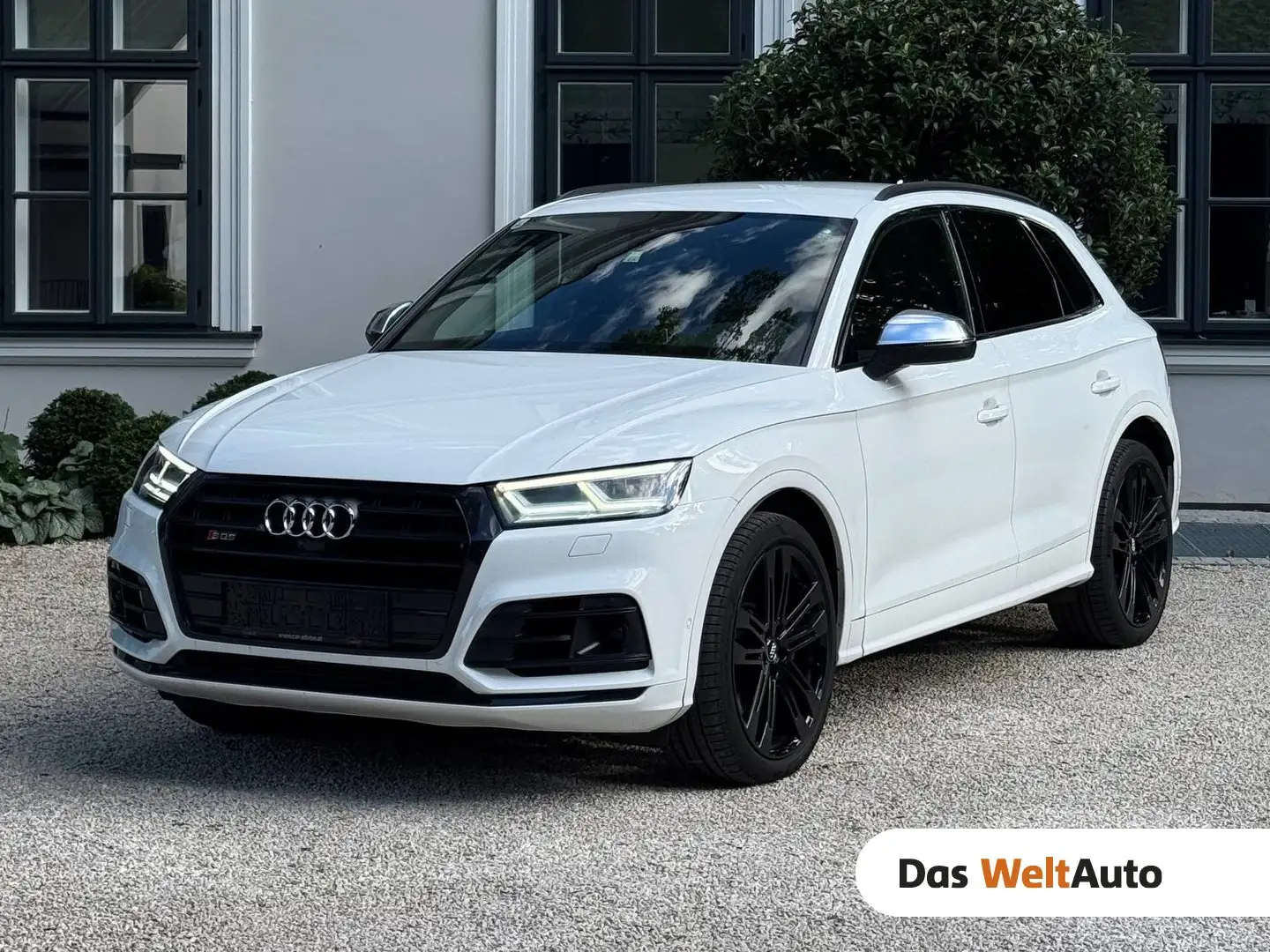 Audi SQ5 TDI quattro Weiß - 1