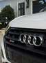 Audi SQ5 TDI quattro Weiß - thumbnail 20