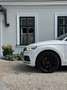 Audi SQ5 TDI quattro Weiß - thumbnail 9