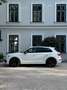 Audi SQ5 TDI quattro Weiß - thumbnail 6