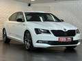 Skoda Superb 2.0TDI SPORTLINE BLACK ACC#CAM#NAVI#SHZ Weiß - thumbnail 2