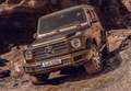 Mercedes-Benz G 580 - thumbnail 2