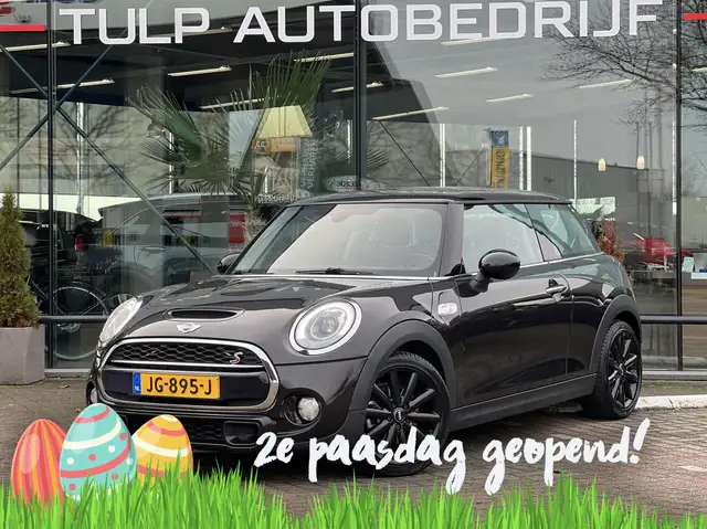MINI Cooper S Mini 2.0 Chili Serious Business Pano LED Navi Mooi