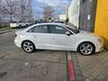 Audi A3 Sedán 1.6TDI Sport Edition 85kW Blanc - thumbnail 9