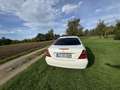 Mercedes-Benz E 270 CDI Classic White - thumbnail 6