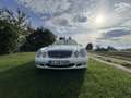 Mercedes-Benz E 270 CDI Classic White - thumbnail 3