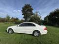 Mercedes-Benz E 270 CDI Classic White - thumbnail 4
