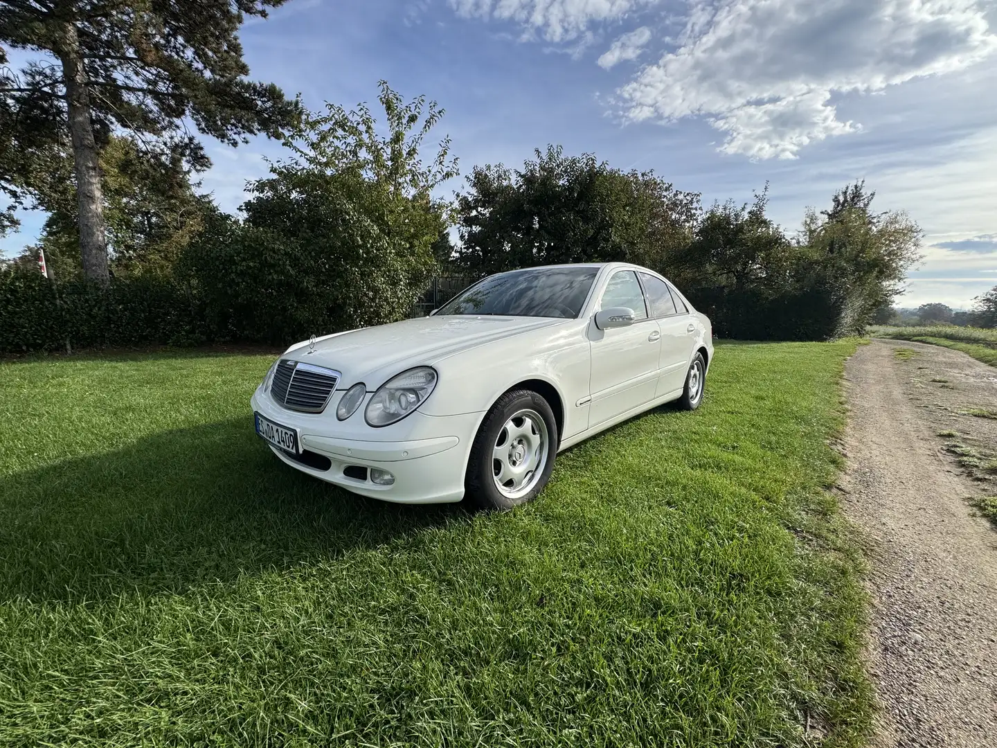 Mercedes-Benz E 270 CDI Classic White - 1