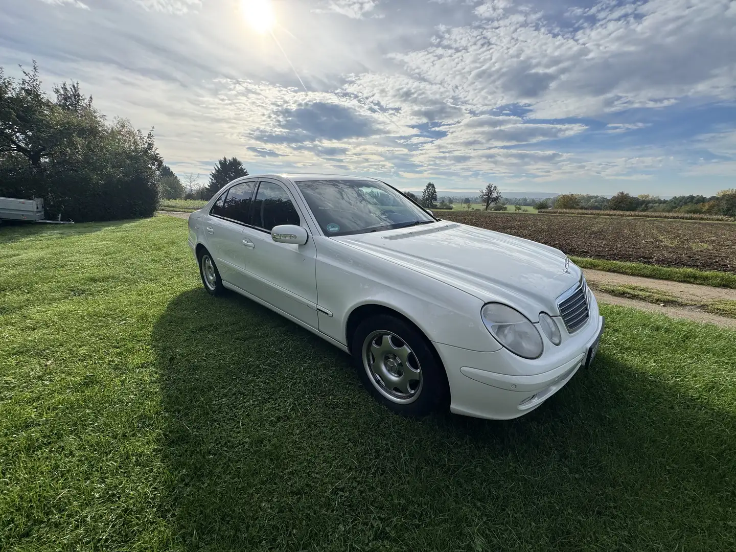 Mercedes-Benz E 270 CDI Classic White - 2