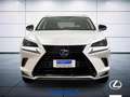 Lexus NX 300 h 2.5 Premium 4wd cvt Biały - thumbnail 3