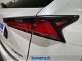 Lexus NX 300 h 2.5 Premium 4wd cvt Biały - thumbnail 11