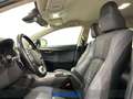 Lexus NX 300 h 2.5 Premium 4wd cvt Biały - thumbnail 14