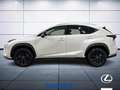 Lexus NX 300 h 2.5 Premium 4wd cvt Biały - thumbnail 9