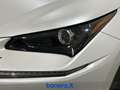 Lexus NX 300 h 2.5 Premium 4wd cvt Biały - thumbnail 10