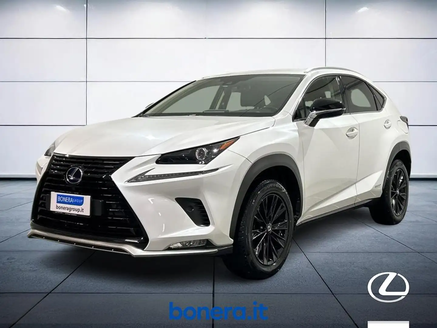 Lexus NX 300 h 2.5 Premium 4wd cvt Bianco - 1