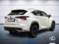 Lexus NX 300 h 2.5 Premium 4wd cvt Biały - thumbnail 6