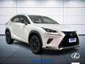 Lexus NX 300 h 2.5 Premium 4wd cvt Biały - thumbnail 4