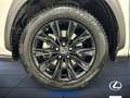 Lexus NX 300 h 2.5 Premium 4wd cvt Biały - thumbnail 12