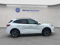 Ford Kuga 2.5 Duratec PHEV ST-LINE Weiß - thumbnail 7