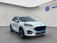 Ford Kuga 2.5 Duratec PHEV ST-LINE Weiß - thumbnail 8