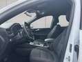 Ford Kuga 2.5 Duratec PHEV ST-LINE Weiß - thumbnail 10