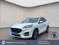 Ford Kuga 2.5 Duratec PHEV ST-LINE Weiß - thumbnail 1