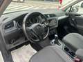 Volkswagen Tiguan 2.0 TDI Business 150CV DSG Bianco - thumbnail 12