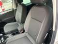 Volkswagen Tiguan 2.0 TDI Business 150CV DSG Bianco - thumbnail 11