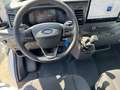 Ford Transit Pritsche 2,0 EcoBlue L3H1 350 Basis Weiß - thumbnail 14