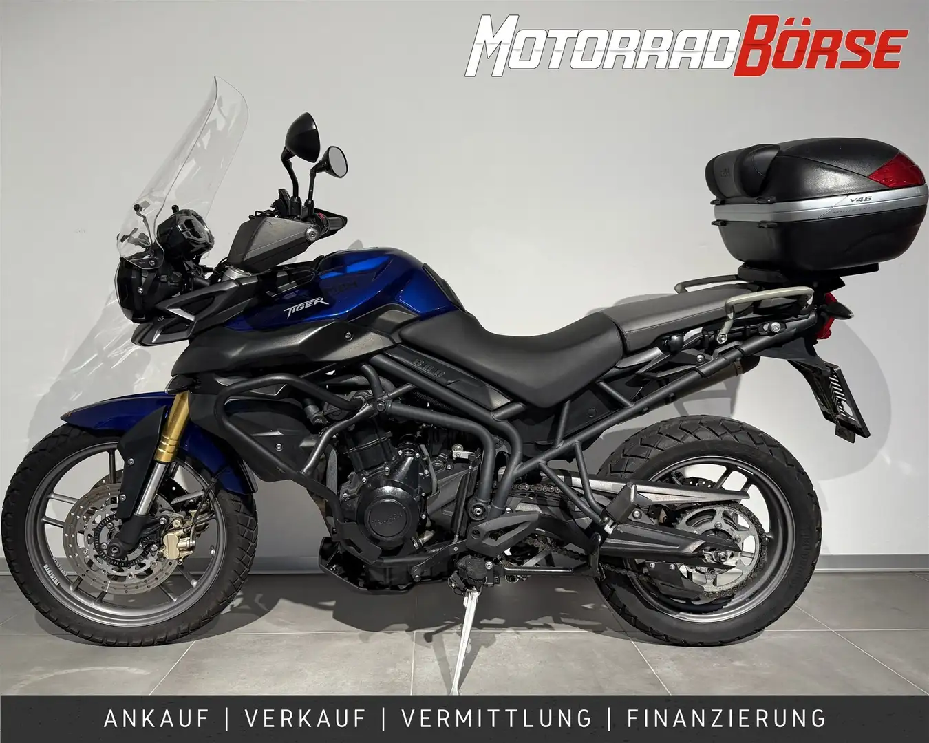 Triumph Tiger 800 Teilzahlung ab 60 Euro monatlich Albastru - 2