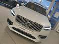 Volvo XC90 T8 AWD Geartr. Ultimate Bright 7-Sitzer Weiß - thumbnail 5