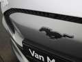 Ford Mustang Mach-E RWD 98 kWh | Navigatie | Camera | Panoramadak Grijs - thumbnail 42