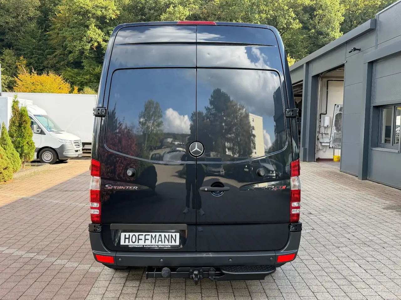 2011 Mercedes-Benz Sprinter319CDI V6 Kasten L2H2 *AHK3,5t*, photograph 7