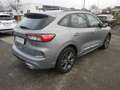 Ford Kuga 2,0 EcoBlue AWD ST-Line Aut. Grau - thumbnail 3