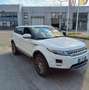 Land Rover Range Rover Evoque Range Rover Evoque 5p 2.2 td4 Prestige 150cv Bianco - thumbnail 1