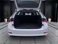 Skoda Octavia Combi 2.0 TDI STYLE AHK NAVI LED SITZHZG Weiß - thumbnail 4