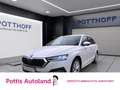 Skoda Octavia Combi 2.0 TDI STYLE AHK NAVI LED SITZHZG Weiß - thumbnail 1