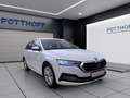 Skoda Octavia Combi 2.0 TDI STYLE AHK NAVI LED SITZHZG Weiß - thumbnail 6