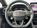 CUPRA Formentor 2.0 TSI VZ 4Drive Grau - thumbnail 12