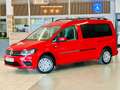 Volkswagen Caddy -Maxi-Behindertengerecht-Rampe Rouge - thumbnail 4